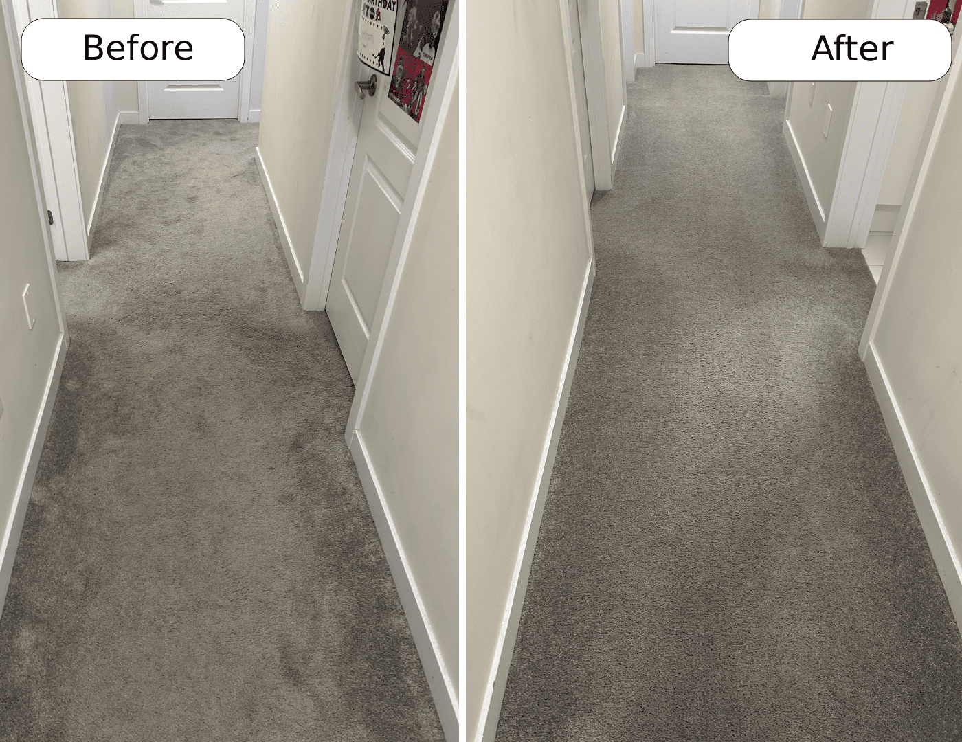 Before and after carpet cleaning in Thorold by Cleanson — pet stains and traffic-lane soiling removed in two hours.