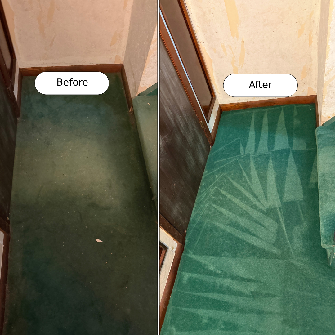 Before and after carpet cleaning by Cleanson — a real job result